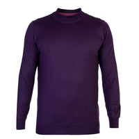 Purple Semi-Turtleneck Regular Fit Wool Knit Sweater