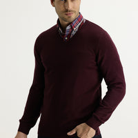 Dark Claret Red V-Neck Regular Fit Knitwear Sweater