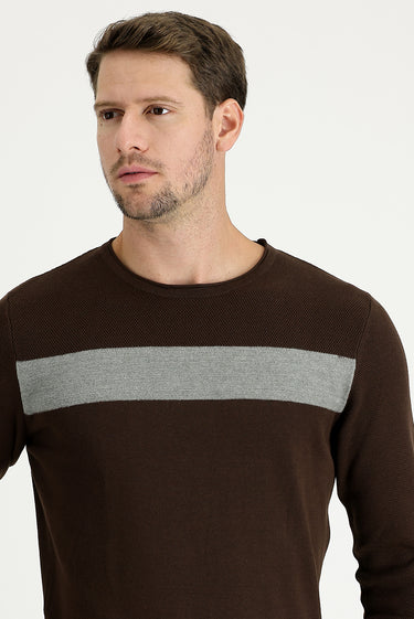 Koyu Kahve Bisiklet Yaka Slim Fit Dar Kesim Desenli Pamuklu Triko Kazak