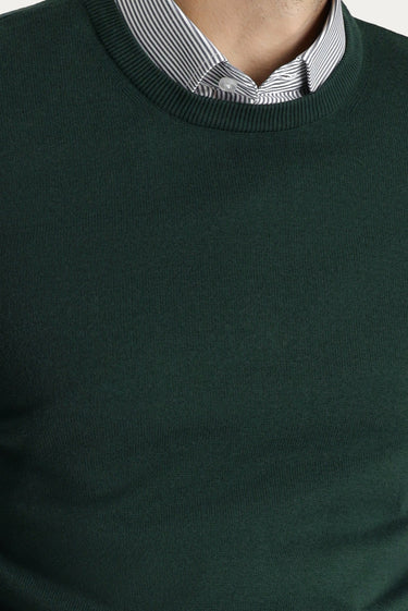 Orman Yeşili Bisiklet Yaka Regular Fit Pamuklu Triko Kazak