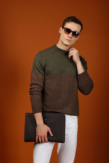 Orta Haki Bisiklet Yaka Slim Fit Dar Kesim Desenli Triko Kazak