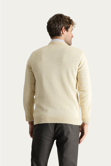 Taş Bisiklet Yaka Slim Fit Dar Kesim Yünlü Desenli Pamuklu Triko Kazak