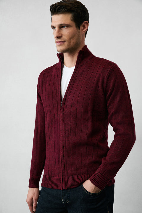 Dark Burgundy Stand-Up Collar Zip-Up Regular Fit Striped Knit Cardigan