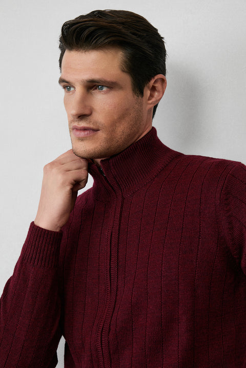 Dark Burgundy Stand-Up Collar Zip-Up Regular Fit Striped Knit Cardigan