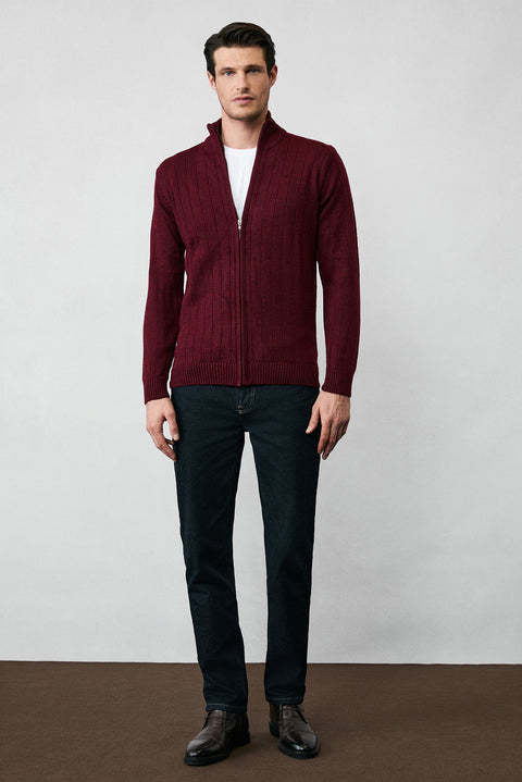Dark Burgundy Stand-Up Collar Zip-Up Regular Fit Striped Knit Cardigan