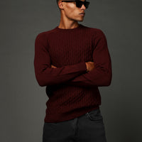 Dark Burgundy Crew Neck Regular Fit Patterned Knitwear Sweater