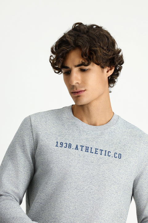 Light Blue Melange Crew Neck Regular Fit Cotton Printed Sweatshirt