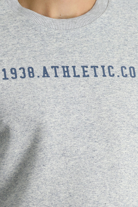 Light Blue Melange Crew Neck Regular Fit Cotton Printed Sweatshirt