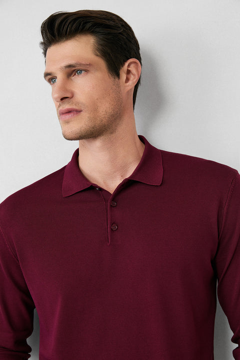 Dark Burgundy Regular Fit Button-Down Polo Collar Knit Sweater