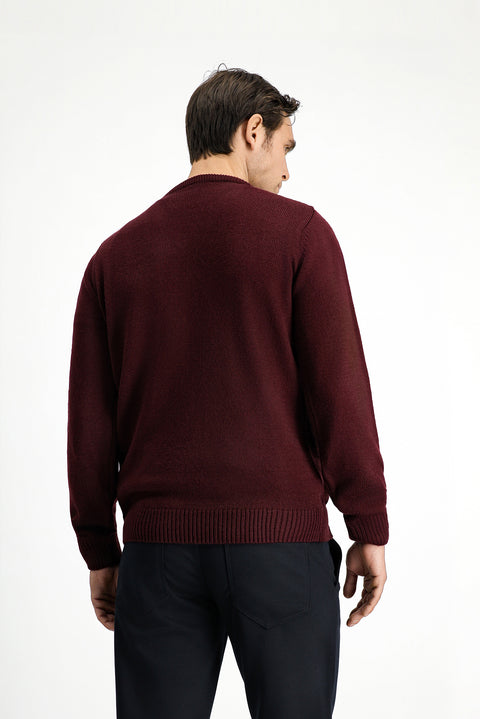 Dark Claret Red V-Neck Regular Fit Knitwear Sweater