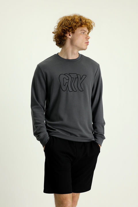 Orta Gri Bisiklet Yaka Slim Fit Dar Kesim Nakışlı Sweatshirt