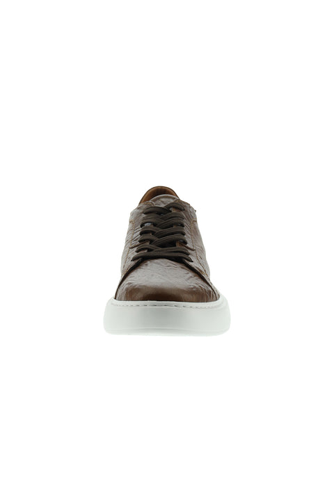 Tan Leather Sneaker Shoes