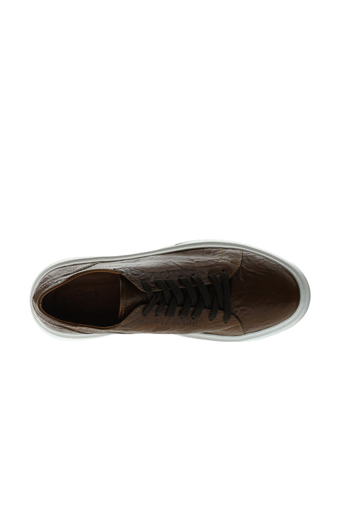 Tan Leather Sneaker Shoes