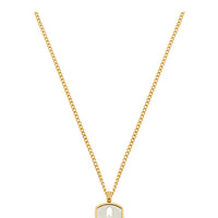 Gold Color Stainless Steel Gold Plated Frame Plate Necklace X AtolyeWolf