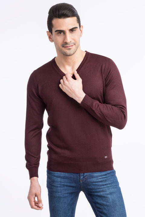 Burgundy V-Neck Regular Fit Wool Knit Sweater