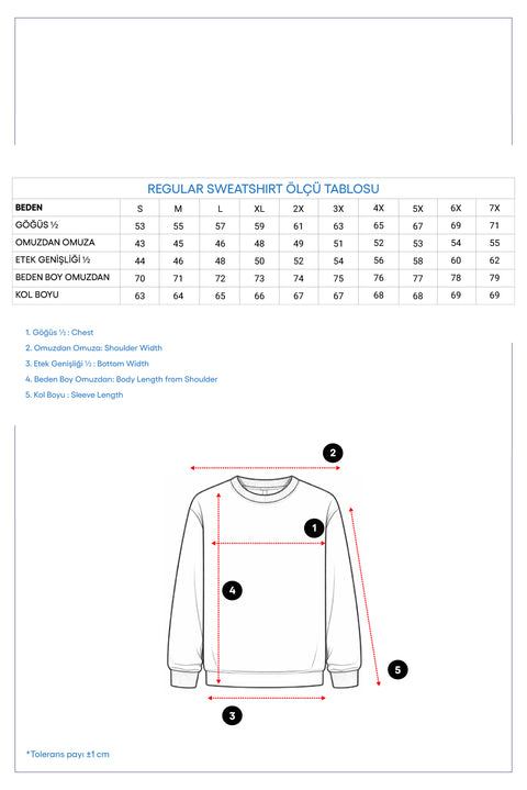 Koyu Antrasit Regular Fit Kapüşonlu Baskılı Pamuklu Sweatshirt