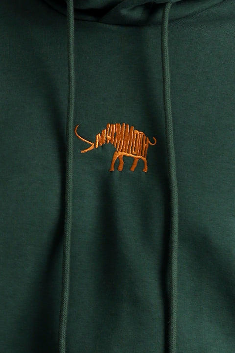 Koyu Yeşil Kapüşonlu Regular Fit Pamuklu Nakışlı 3 İplik Sweatshirt