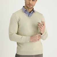 Koyu Bej V Yaka Regular Fit Triko Kazak