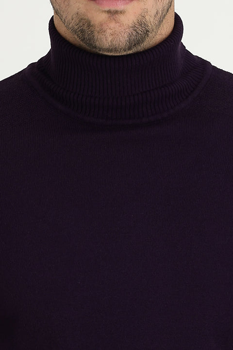 Plum Turtleneck Slim Fit Narrow Cut Patterned Knit Sweater