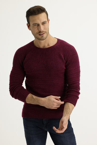 Mürdüm Bisiklet Yaka Slim Fit Dar Kesim Yünlü Desenli Triko Kazak