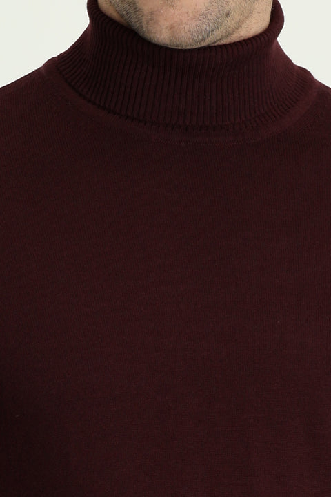 Dark Burgundy Turtleneck Regular Fit Cotton Knit Sweater
