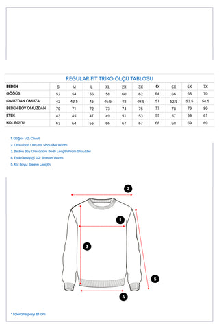  Koyu Bordo V Yaka Regular Fit Yünlü Triko Kazak