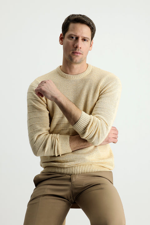 Taş Bisiklet Yaka Slim Fit Dar Kesim Desenli Triko Kazak