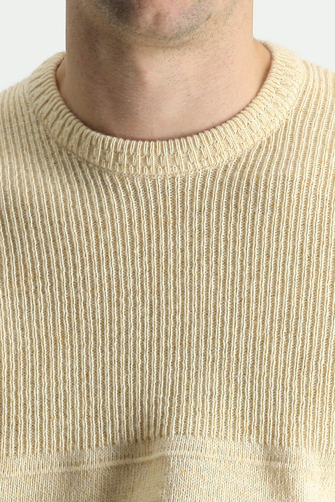 Taş Bisiklet Yaka Slim Fit Dar Kesim Desenli Triko Kazak