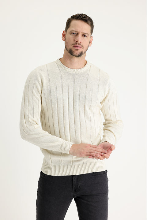 Ekru Bisiklet Yaka Slim Fit Dar Kesim Yünlü Desenli Triko Kazak