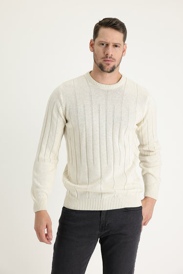 Ekru Bisiklet Yaka Slim Fit Dar Kesim Yünlü Desenli Triko Kazak
