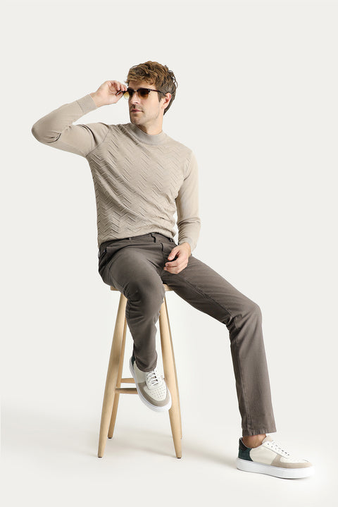 Dark Mink Regular Fit Standard Cut Lycra Canvas / Chino Trousers