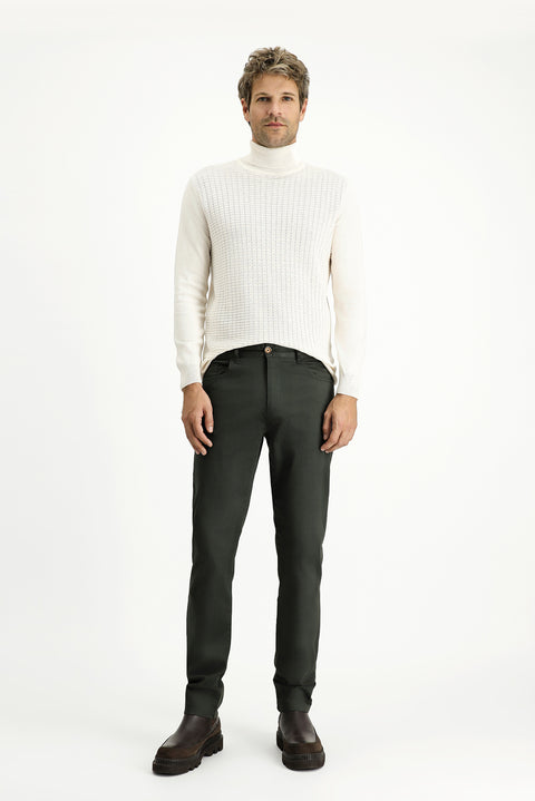 Dark Haki Regular Fit Standard Cut Lycra Canvas / Chino Trousers