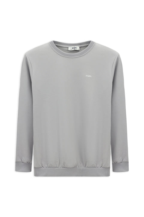 Light Blue Crew Neck Regular Fit Embroidered Basic Thin Sweatshirt