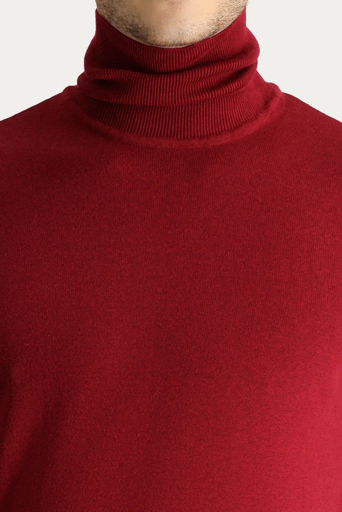 Dark Red Turtleneck Regular Fit Cotton Knit Sweater