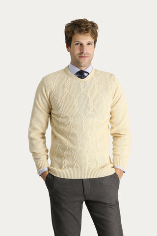  Taş Bisiklet Yaka Slim Fit Dar Kesim Yünlü Desenli Pamuklu Triko Kazak