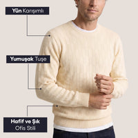 Taş Bisiklet Yaka Regular Fit Yünlü Desenli Triko Kazak