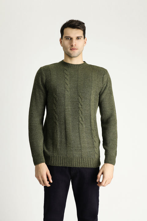 Açık Haki Bisiklet Yaka Slim Fit Desenli Triko Kazak