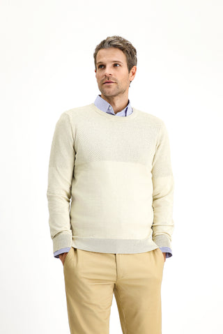  Açık Bej Bisiklet Yaka Slim Fit Dar Kesim Desenli Pamuklu Triko Kazak