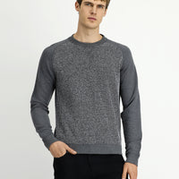 Orta Füme Bisiklet Yaka Regular Fit Desenli Pamuklu Sweatshirt
