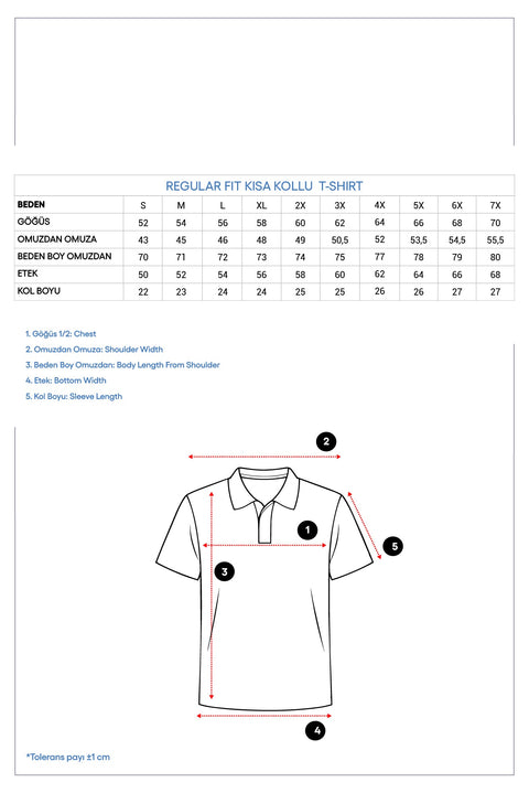 Black Polo Collar Regular Fit Embroidered T-shirt