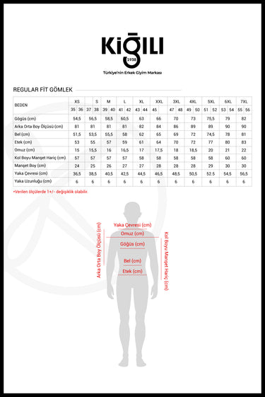 Aqua Mavisi Uzun Kol Regular Fit Non Iron Ütü Gerektirmeyen Pamuklu Gömlek