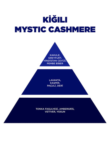 Mystic Cashmere Edp 100 Ml Erkek Parfüm