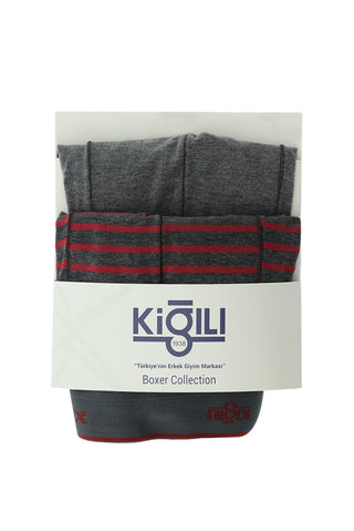  Orta Füme 2'li Desenli Pamuklu Boxer Seti