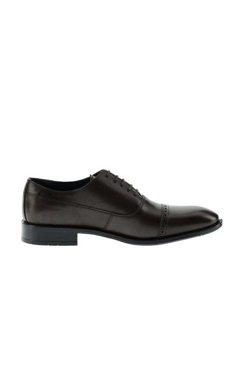Dark Brown Classic Leather Shoes