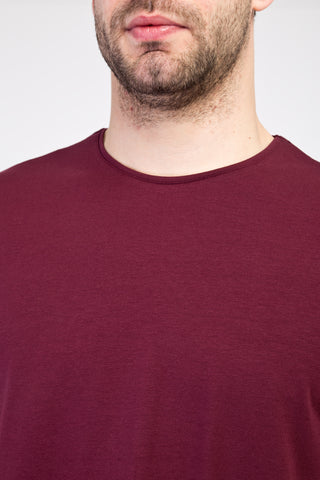  Vişne Bisiklet Yaka Slim Fit Dar Kesim Tişört