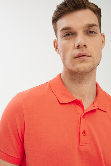 Mercan Kırmızı Polo Yaka Slim Fit Dar Kesim Pamuk Tişört