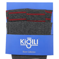 Orta Füme 2'li Çizgili Pamuklu Süprem Boxer Seti