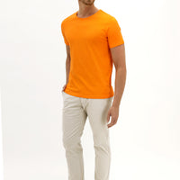 Light Beige Regular Fit Standard Cut Lycra Canvas / Chino Pants