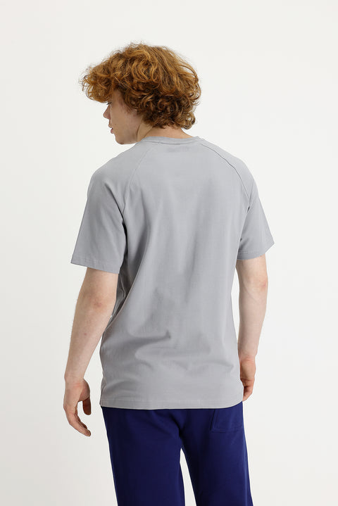 Açık Gri Bisiklet Yaka Slim Fit Dar Kesim Tişört