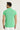 Çağla Yeşili Polo Yaka Slim Fit Dar Kesim Desenli Pamuk Tişört